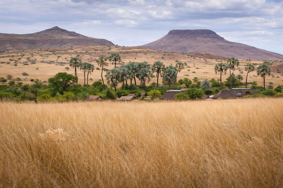 Palmwag, Namibie