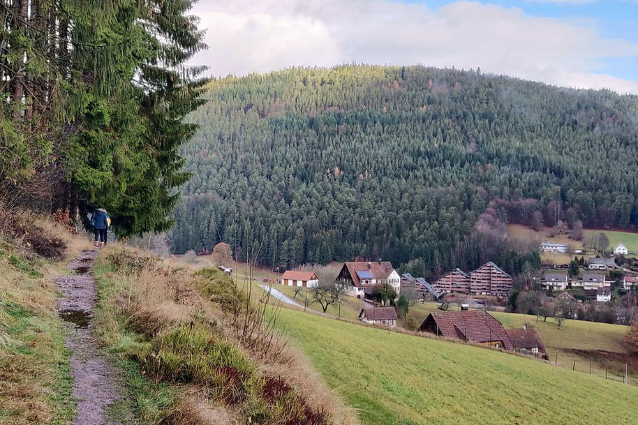 La Forêt Noire, Allemagne