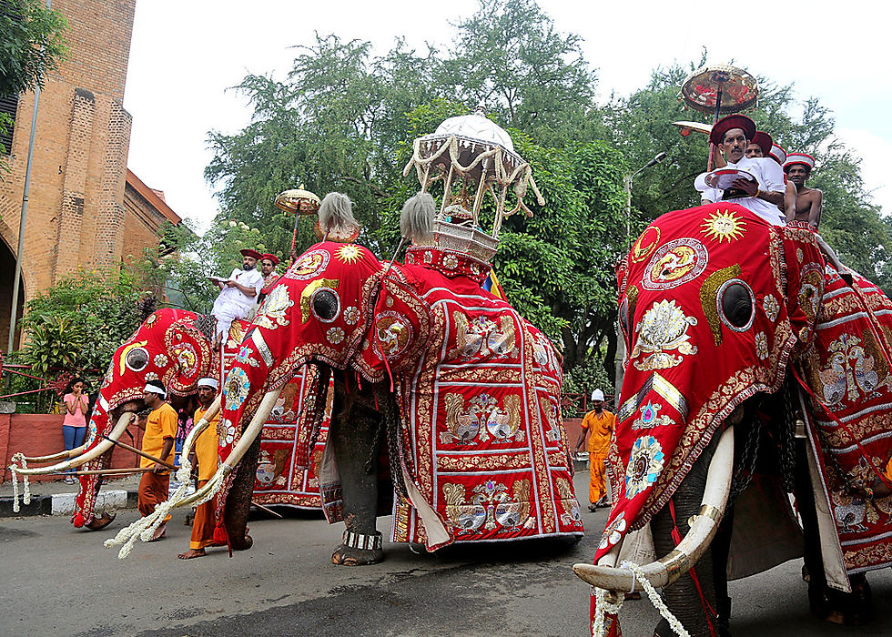 Festival de la Perahera Kandy