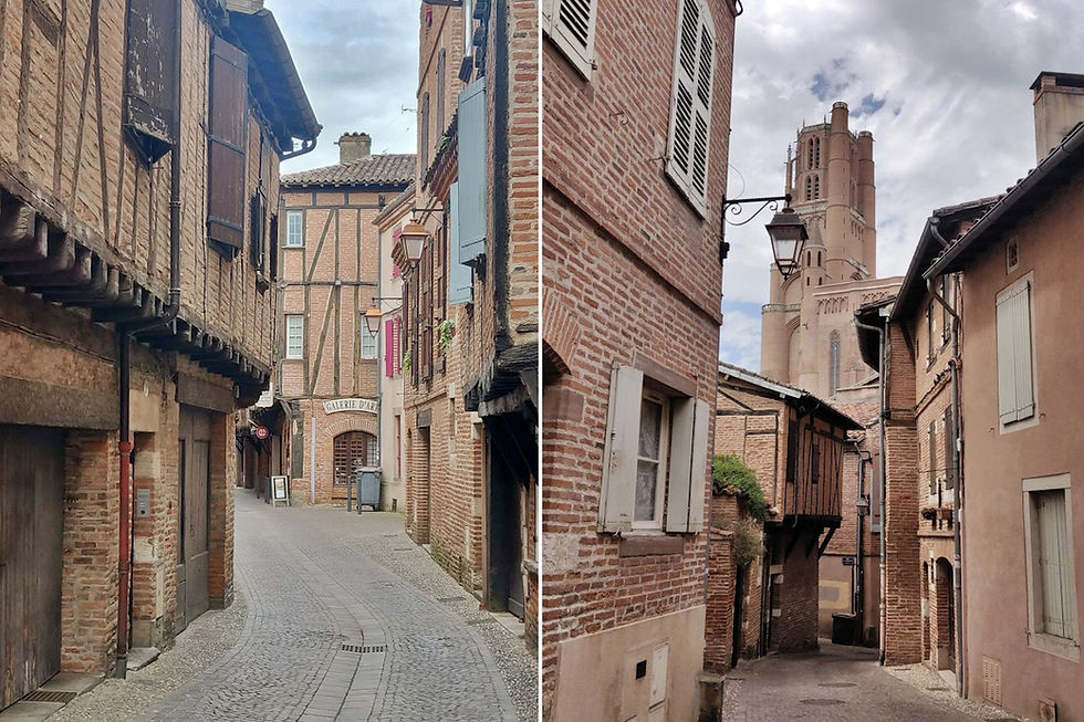 Albi visite vieille ville