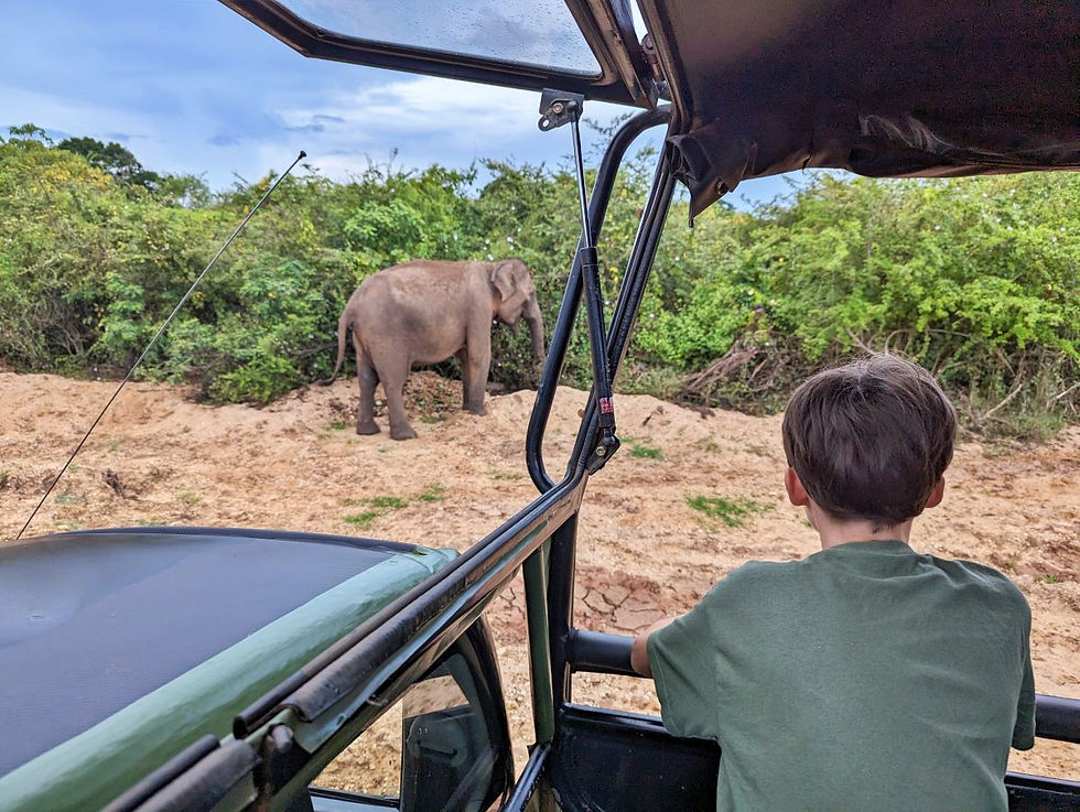 Safari au Sri Lanka