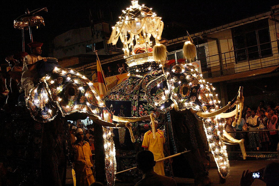 elephants Esala Perahera à Kandy