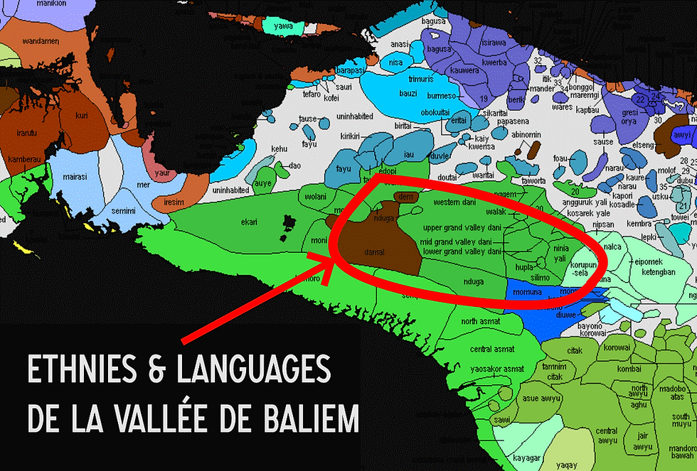 cartet ethnies vallée de Baliem