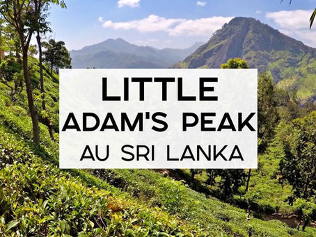 Le Little Adam's Peak au Sri Lanka