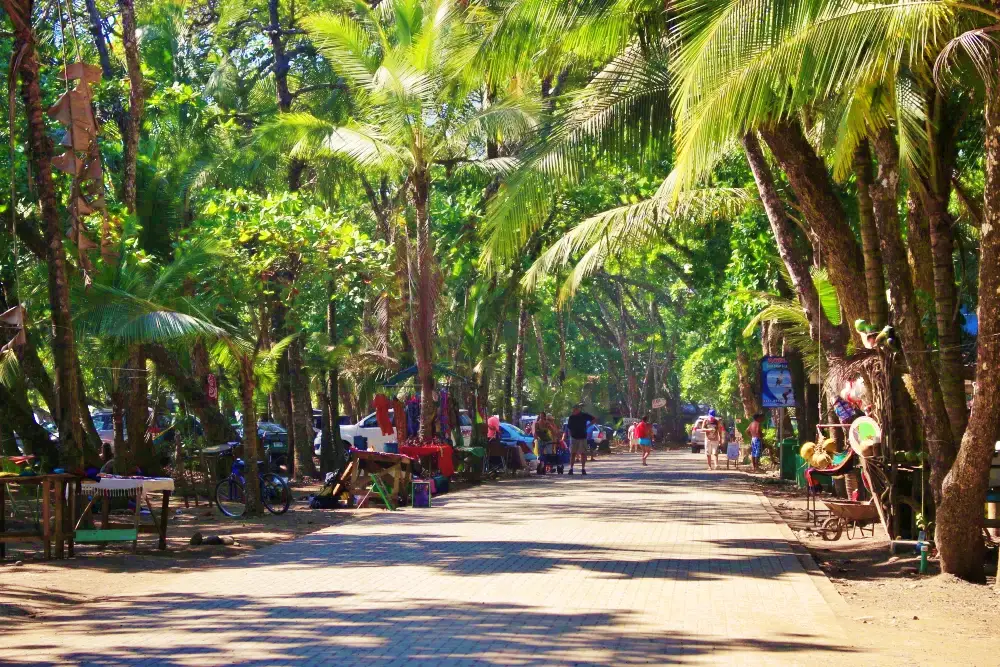 Que faire Dominical au Costa Rica