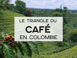 Triangle du Café en Colombie
