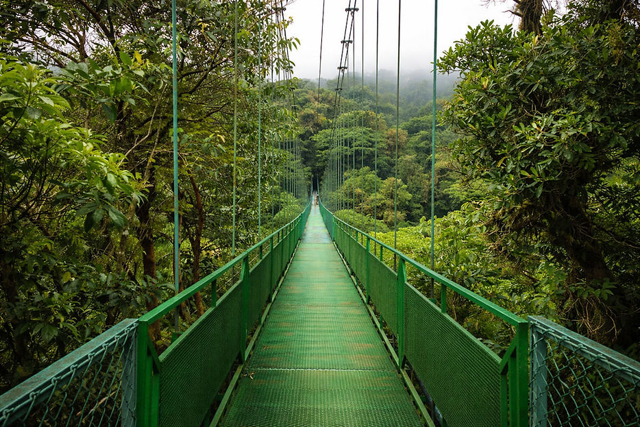 Costa Rica Monteverde pont3.jpg