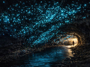 Grottes lumineuses de Waitomo en Nouvelle-Zélande : voir les vers luisants