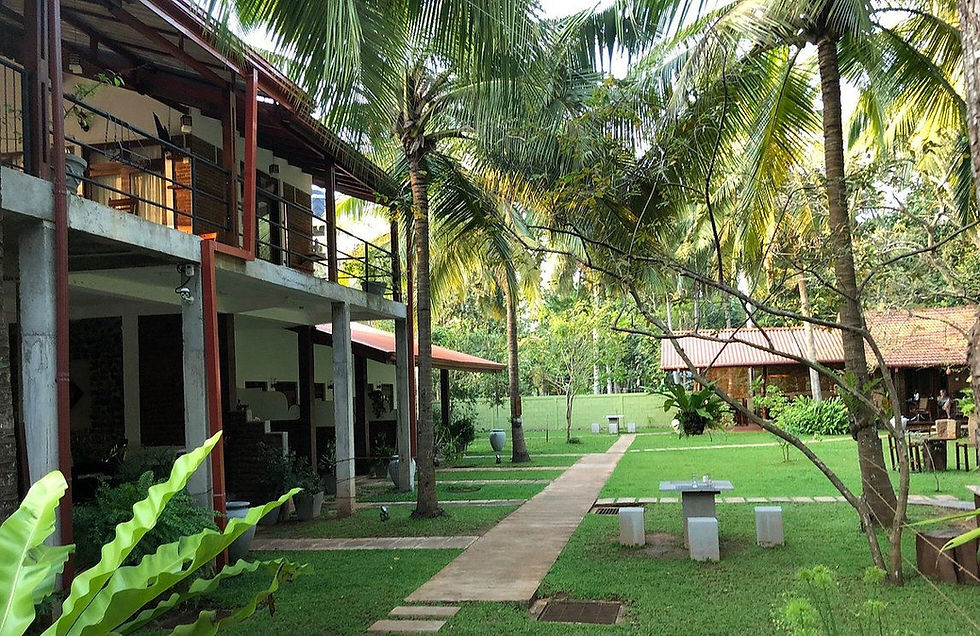 meilleur hotel anuradhapura sri lanka