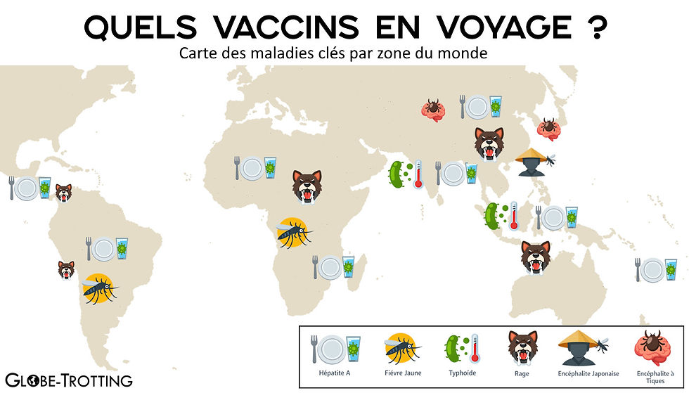 Carte mondiale des vaccins en voyage, montrant des icônes de maladies comme la rage, l'hépatite A et la fièvre jaune