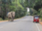Transports au Sri Lanka