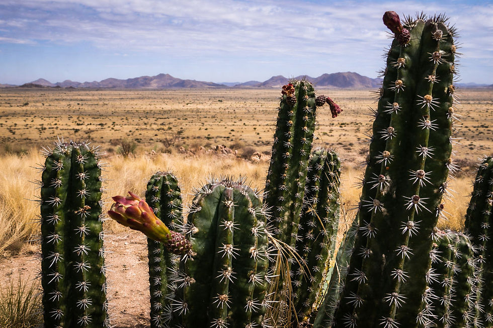 Col de la Spreetshoogte, Namibie