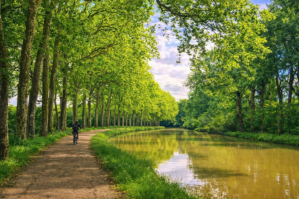 Le Canal du Midi