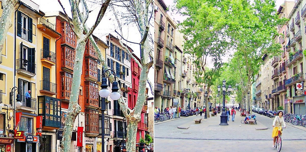 Passeig del Born