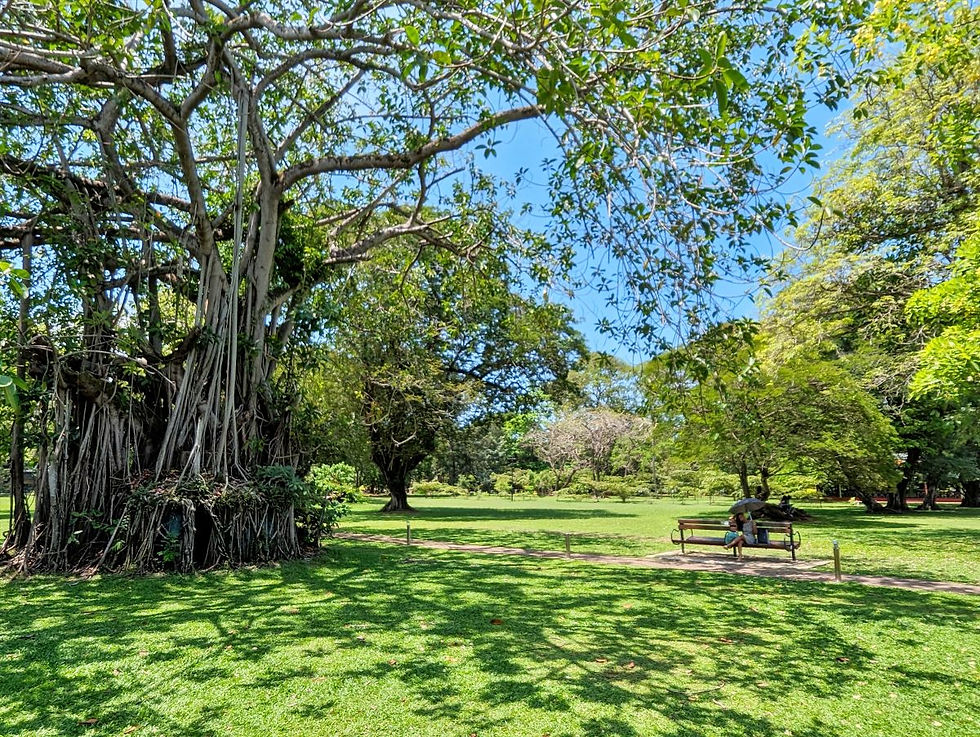 Parc Viharamahadevi