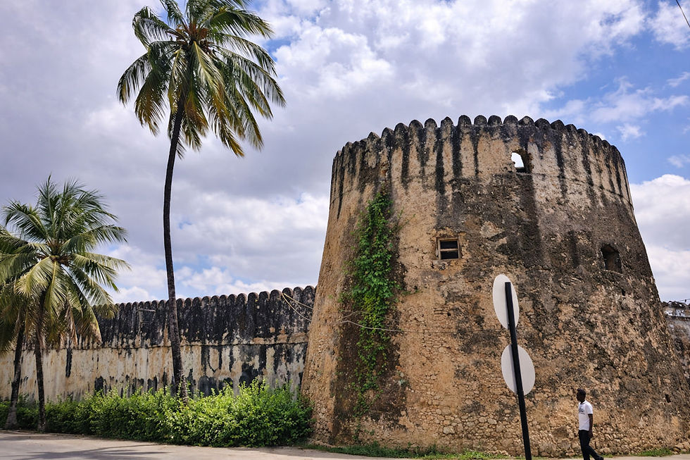 Stone Town Old Fort (Vieux Fort arabe)