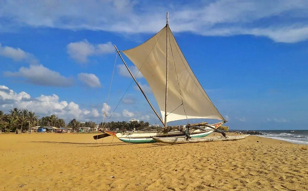 Préparatifs pour un voyage au SRI LANKA