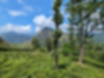 Vue sommet Little Adam's Peak