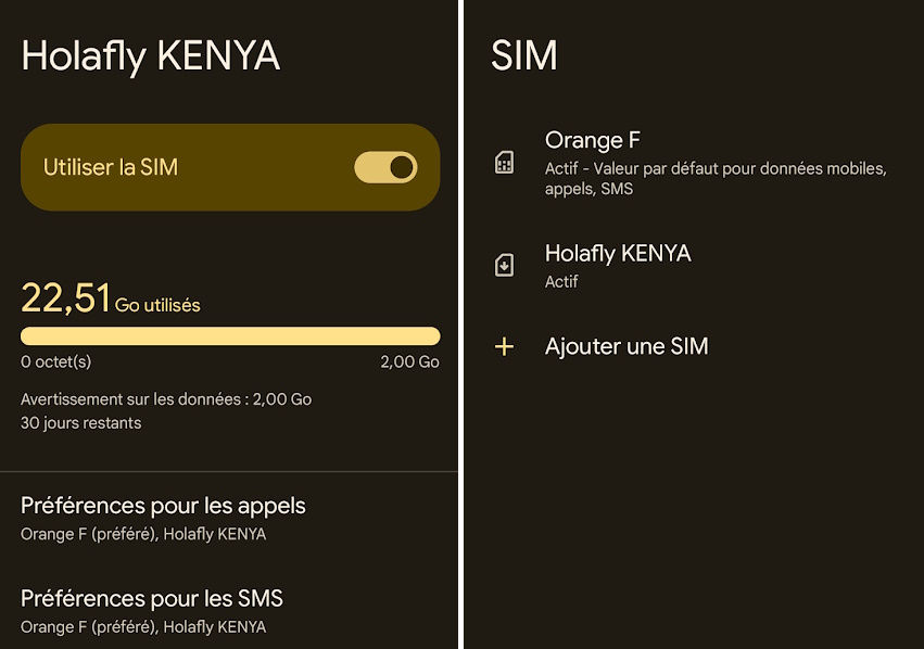 voyager avec deux cartes SIM