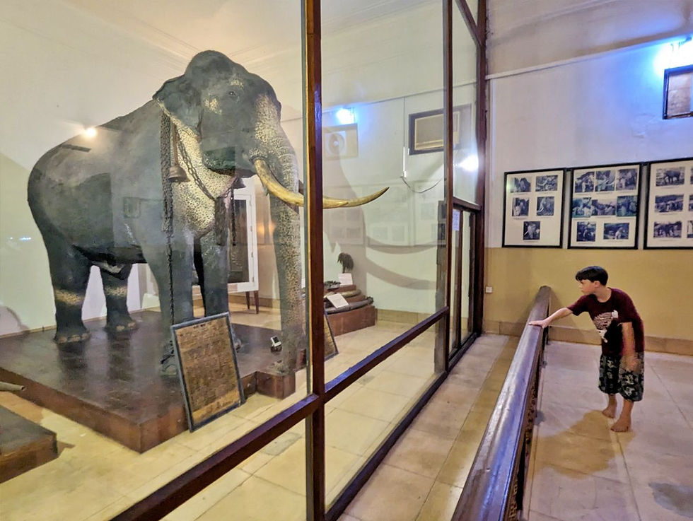 Elephant Museum Kandy