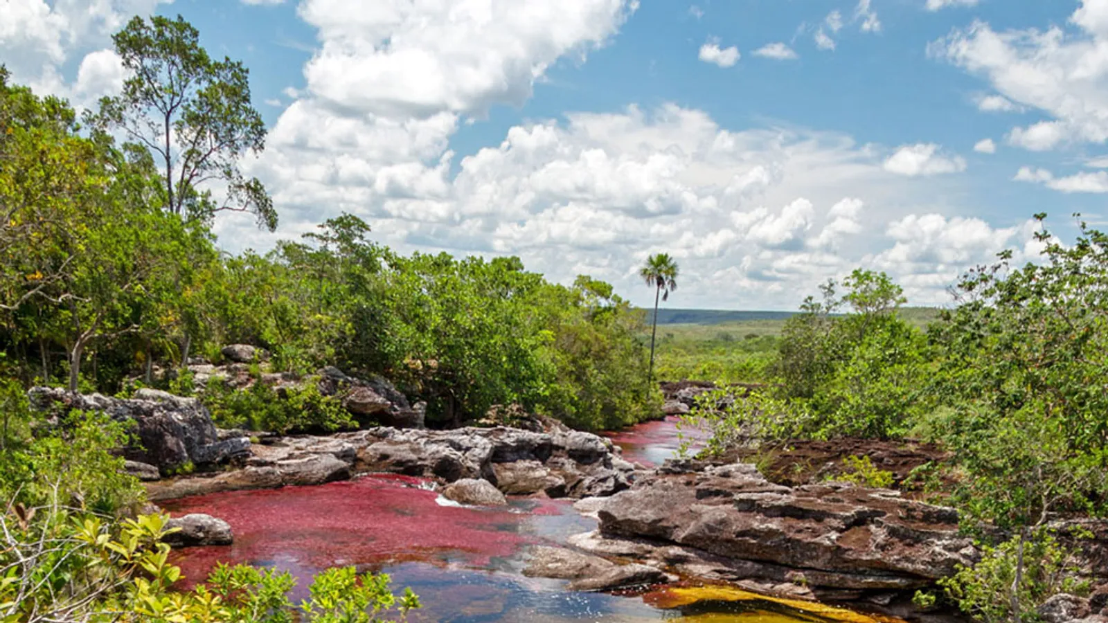 cano cristales cascades rouges