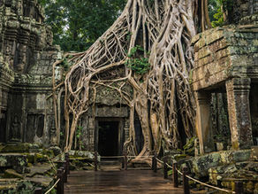 Temples d’Angkor : liste des incontournables, carte et guide complet