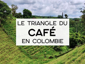 Le triangle du café en Colombie