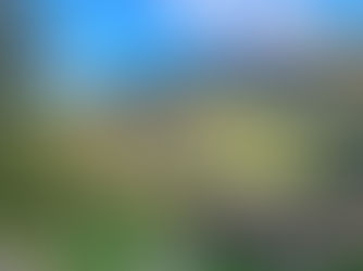 Les Cévennes : Que faire et que voir ?