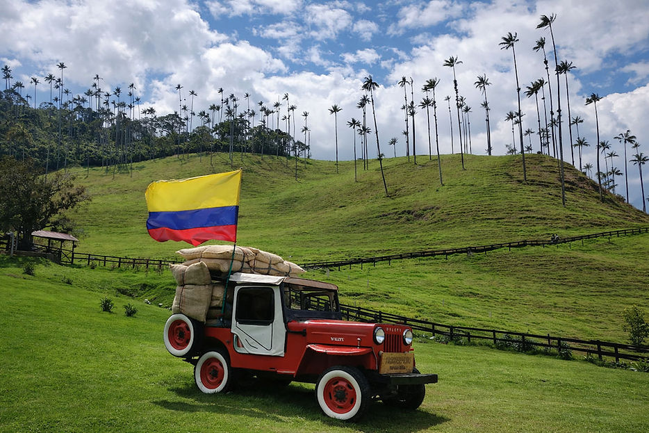 Vallée de Cocora en Colombie
