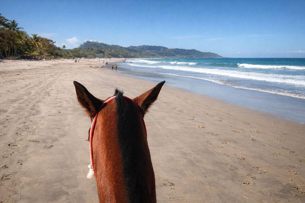 balade à cheval à Santa Teresa
