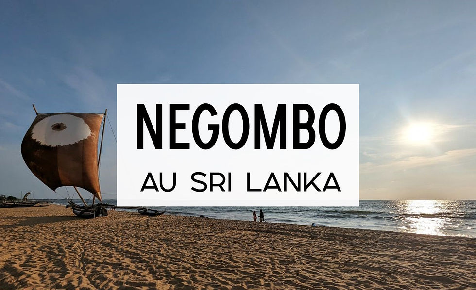 Negombo au Sri Lanka