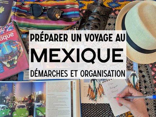 Voyage au Mexique : Démarches et préparatifs