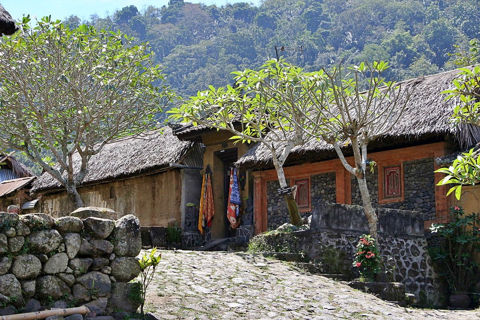 Tenganan village bali