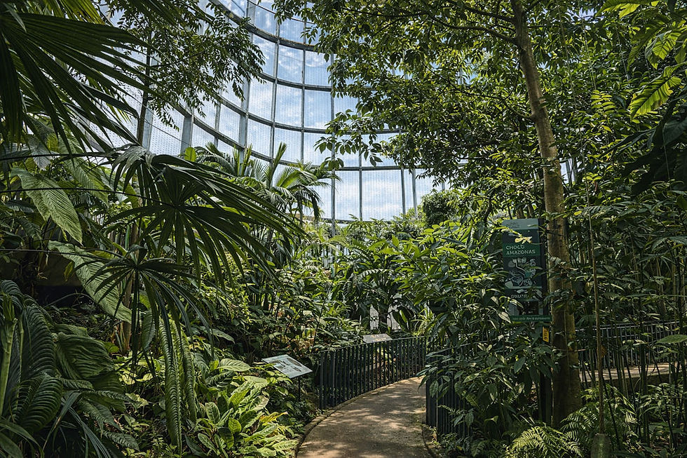 Teusaquillo Serre du jardin botanique