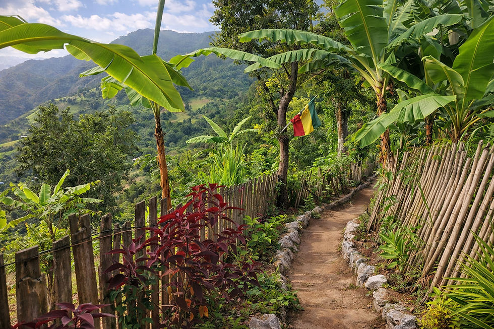 Blue Mountains communauté Rasta