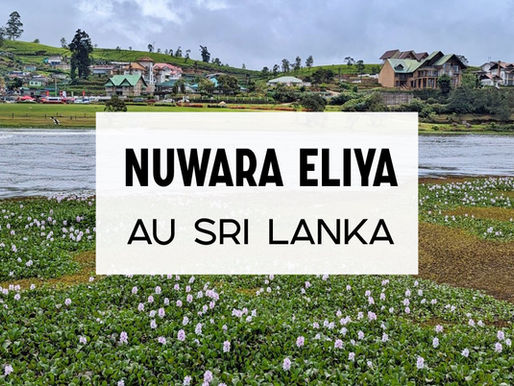 Nuwara Eliya au Sri Lanka