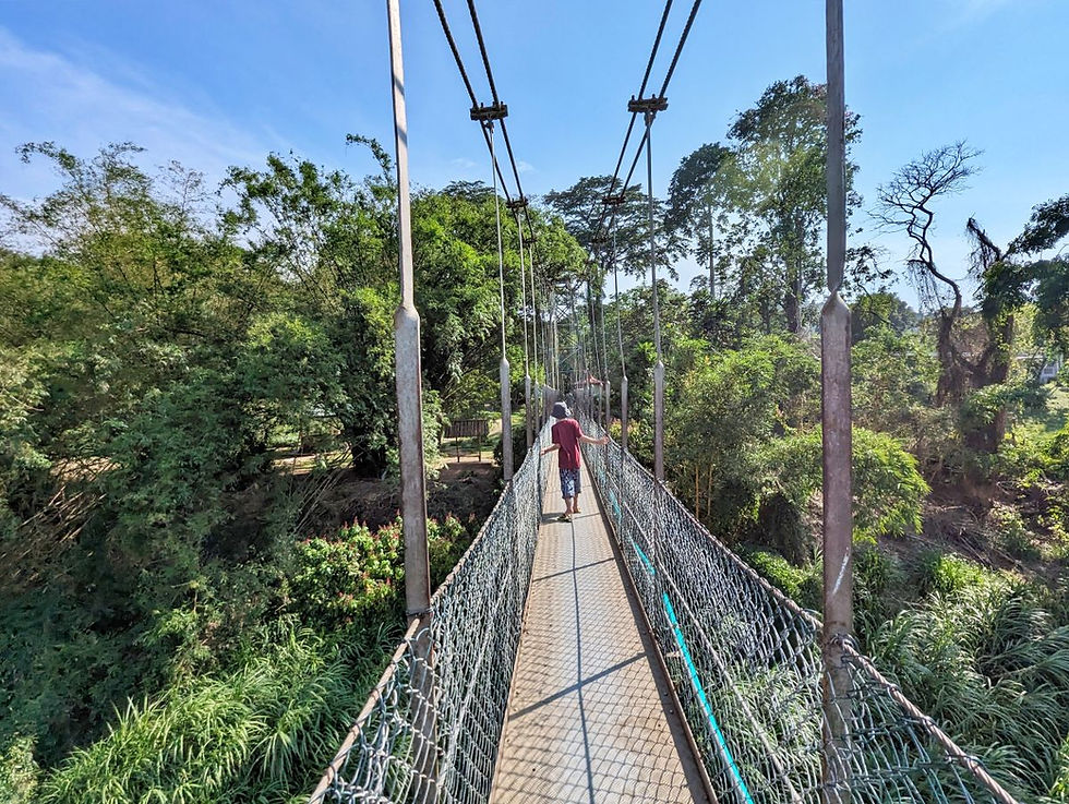 pont Jardin botanique Kandy