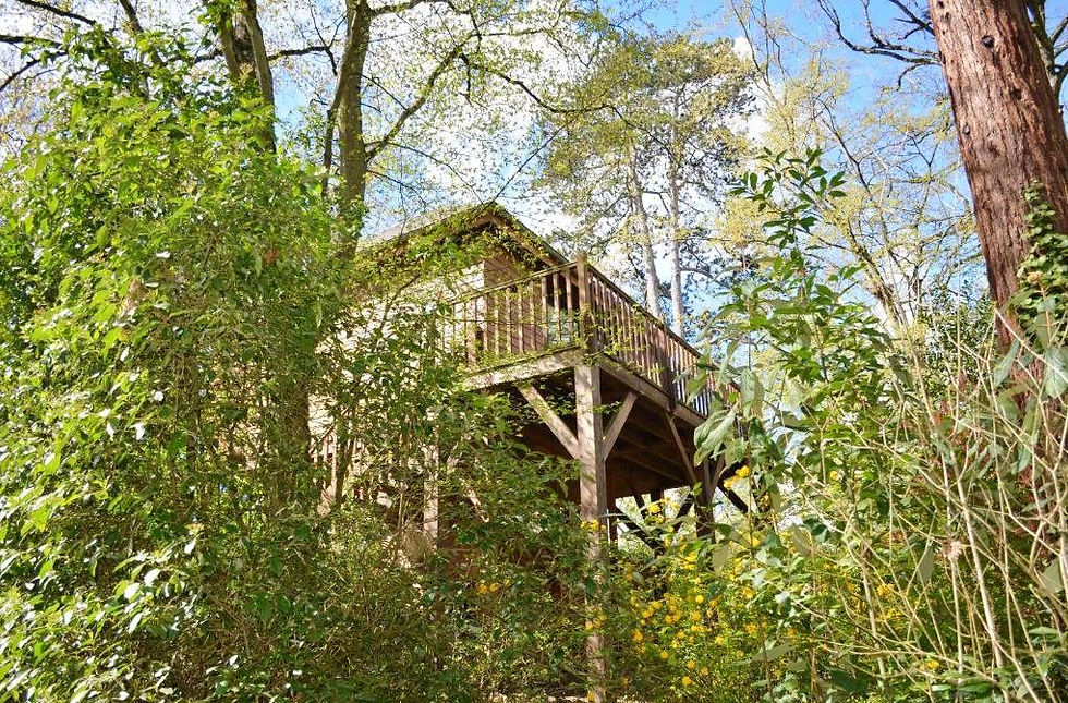 Cabane dans les arbres région Centre