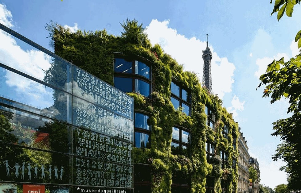 Musée du quai Branly de Paris Site culturel