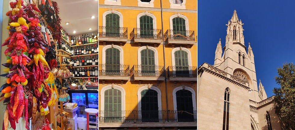 à voir à palma de majorque