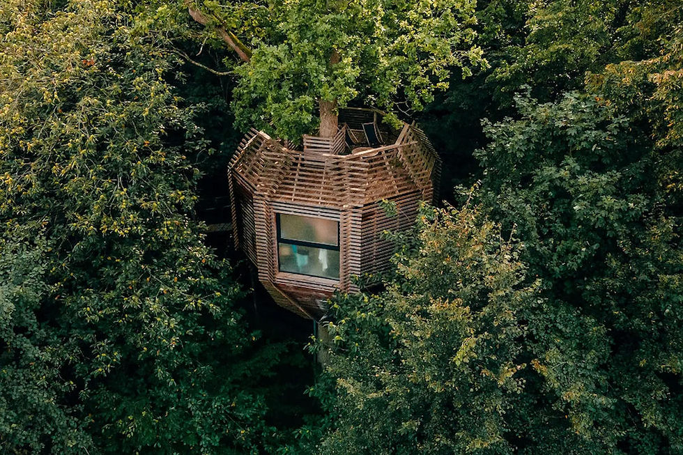 cabane perchée à 13 mètres avec bain nordique et vue panoramique sur la forêt