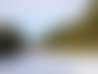 Vosges en hiver : que faire ? Ski, raquettes et activités neige