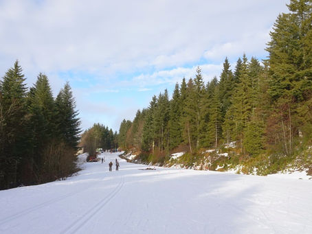 Vosges en hiver : que faire ? Ski, raquettes et activités neige