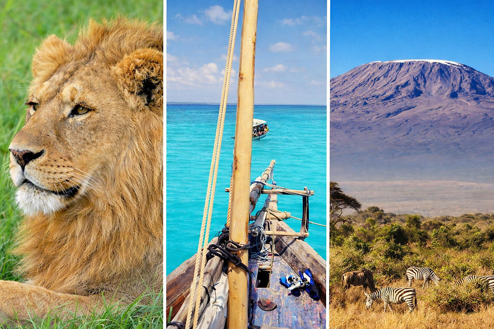 Que faire et que voir en Tanzanie ?