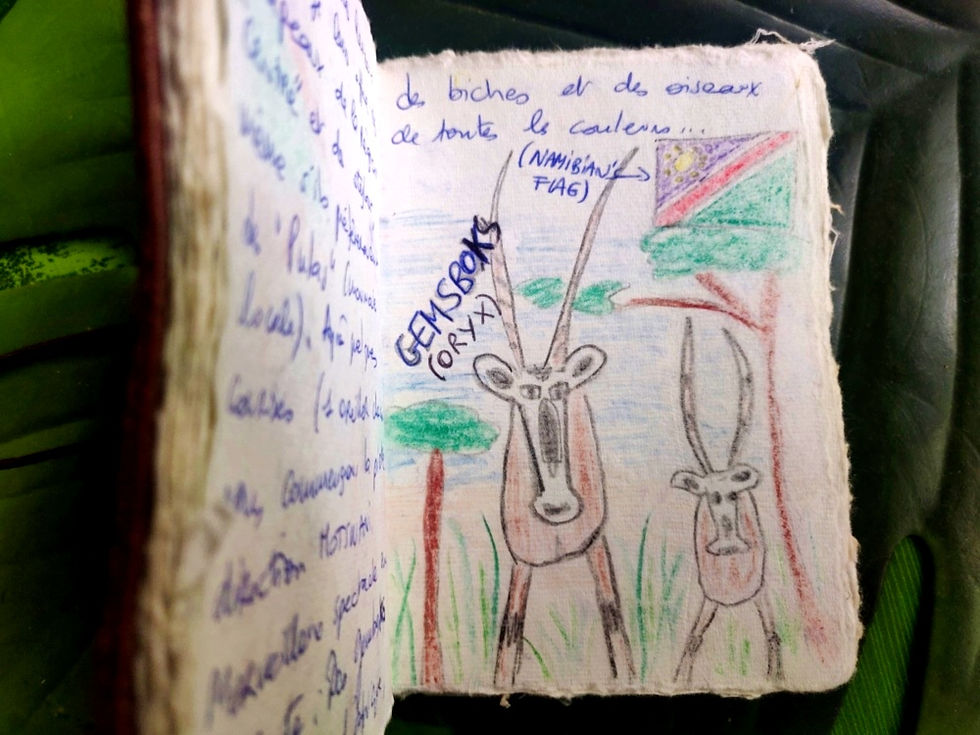 Carnet de voyage Afrique Safari animaux