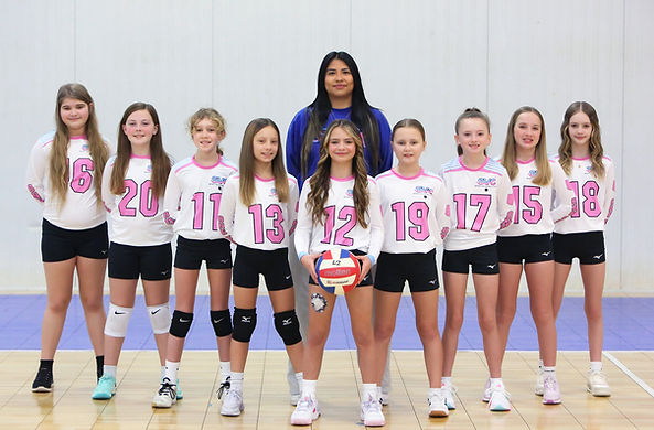 volleyball.jpg