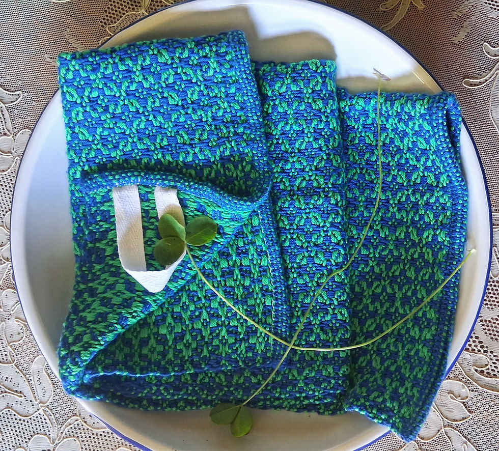 Trevor Handwoven Dish Towel