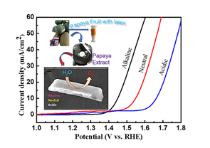 Papain NJC 1.png