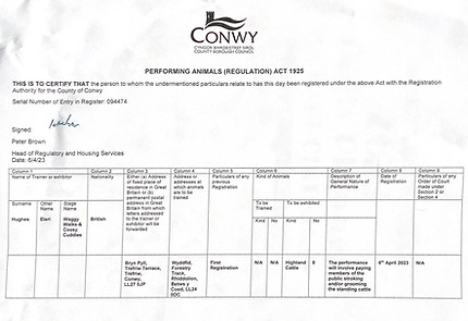 Licensed for Highland Cattle Experiences