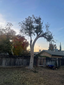 IMG_1939.jpeg